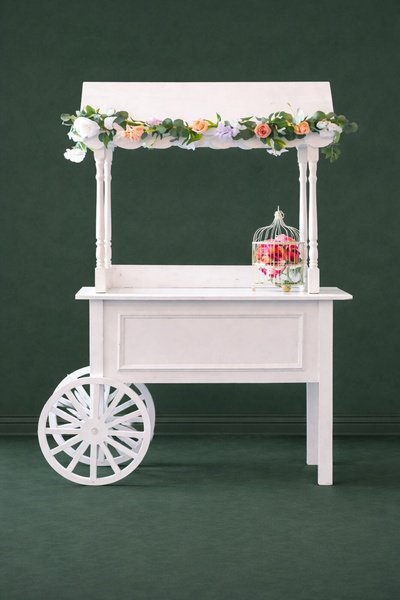 Display Cart / Station - Design #401 - Image 2
